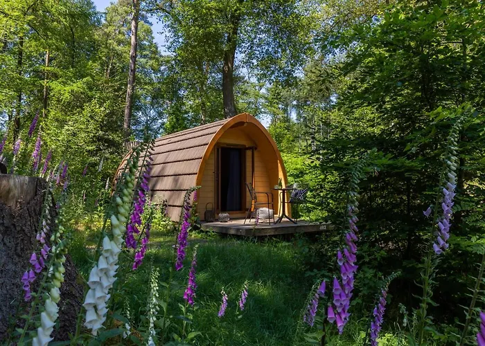 Semesterpark Buitenplaats Beekhuizen